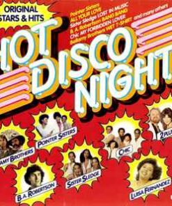 Various - Hot Disco Night - LP