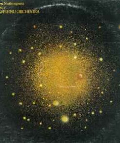 Mahavishnu Orchestra – Between Nothingness & Eternity - LP