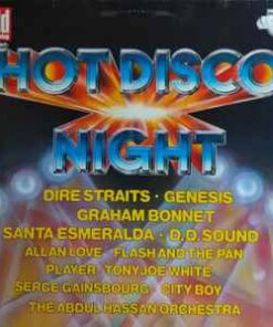 Various - Hot Disco Night - LP