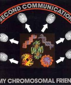 Second Communication – My Chromosomal Friend - LP