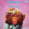 Various – Ronny's Pop Show No. 13 - 2 LP