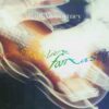 Paul McCartney – Tripping The Live Fantastic - 2 CD
