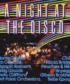 Various – A Night At The Disco - 2 LP