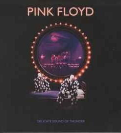 Pink Floyd – Delicate Sound Of Thunder - 2 CD