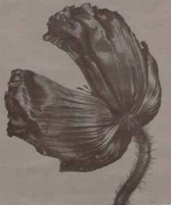 Pet Shop Boys – Release - CD