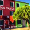 Raul Vaigla – A Better Place - CD