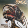Rage – Perfect Man - LP